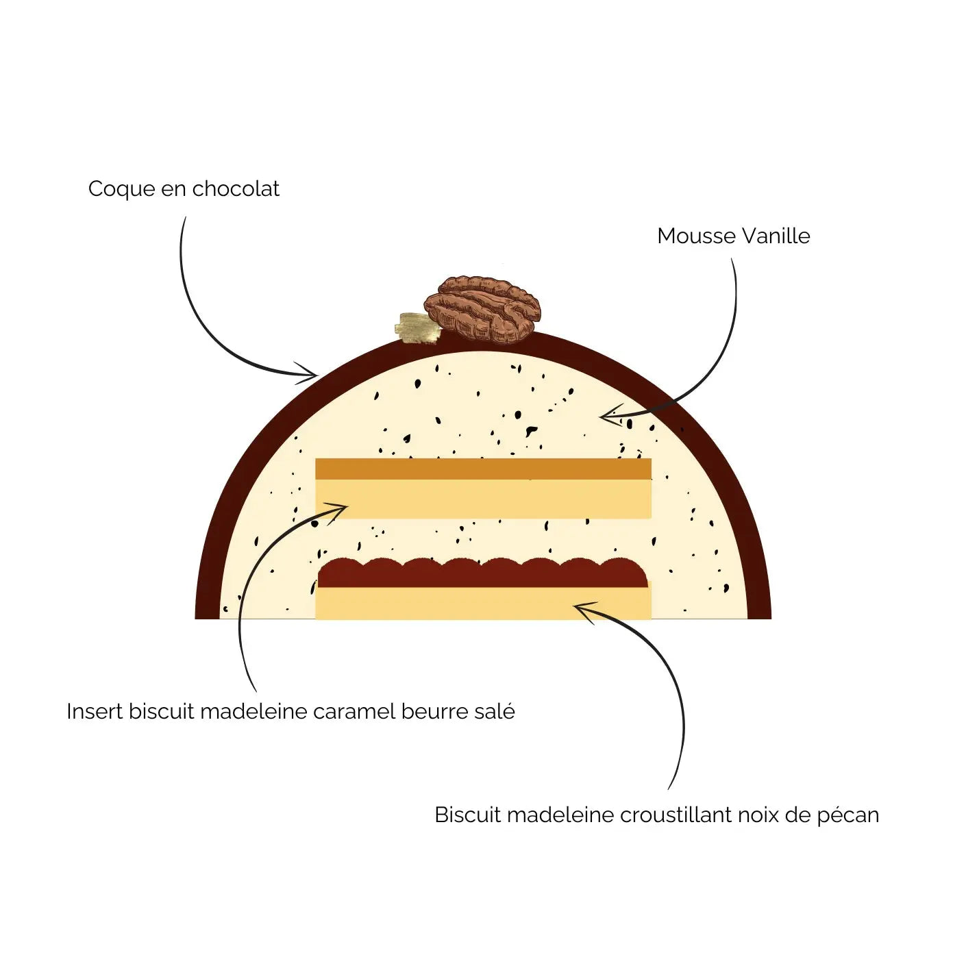 BÛCHE CHOCOLAT, VANILLE, CARAMEL ET NOIX DE PECAN (recette pour 8 personnes) Ma Box Gourmande